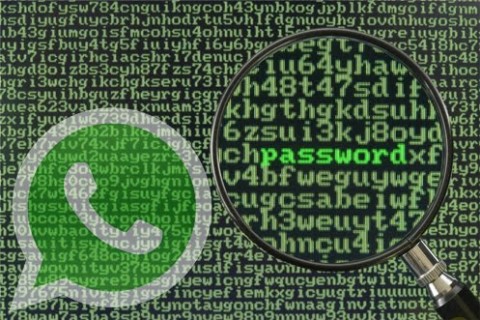 WhatsApp, pericolo per la privacy