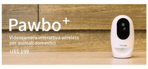 Pawbo: il regalo perfetto per il tuo animale domestico